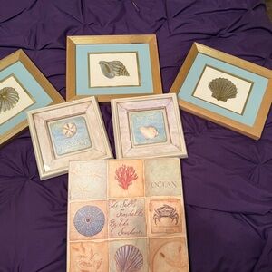 Coastal Seashell Framed Wall Art Set